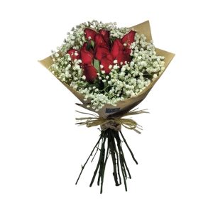 Buquê de 12 Rosas Vermelhas e Mosquitinho